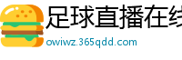 足球直播在线直播观看免费直播吧手机版